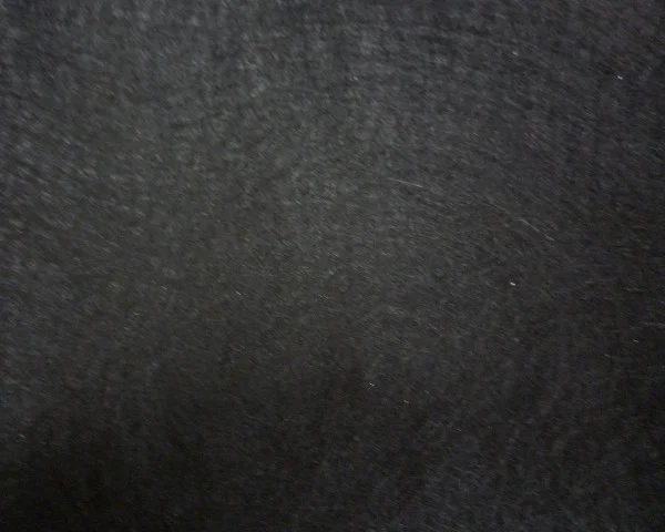 bowi-1237789