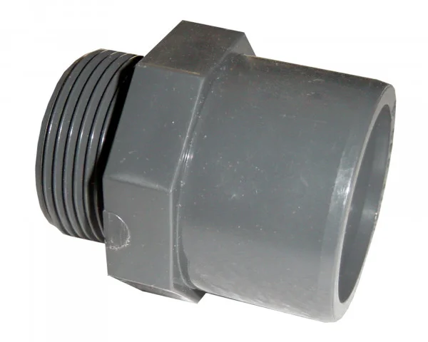 bowi-1239130
