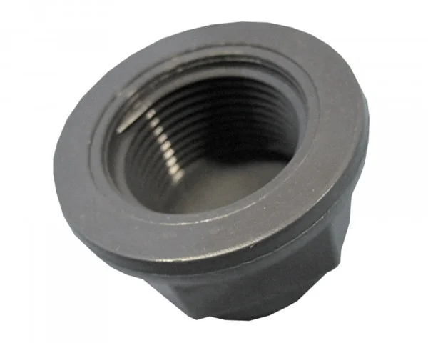 bowi-1239597