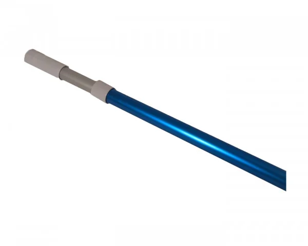 bowi-1240064