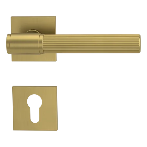 koempf24-1153549