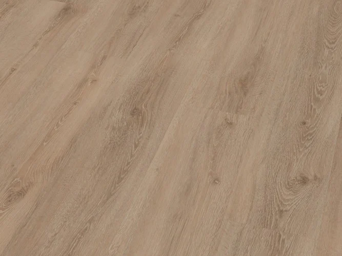 koempf24-1164605