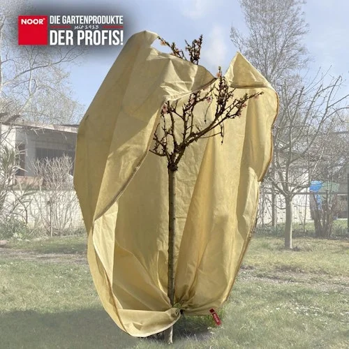 koempf24-1171856