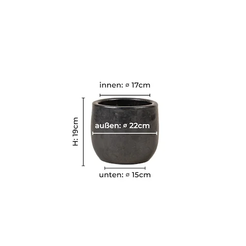 koempf24-1185742