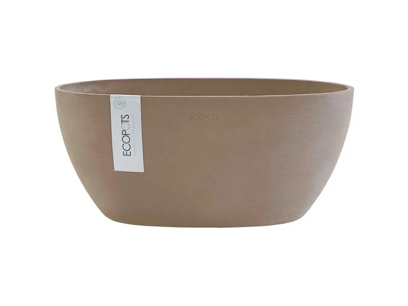 obi2-1055356
