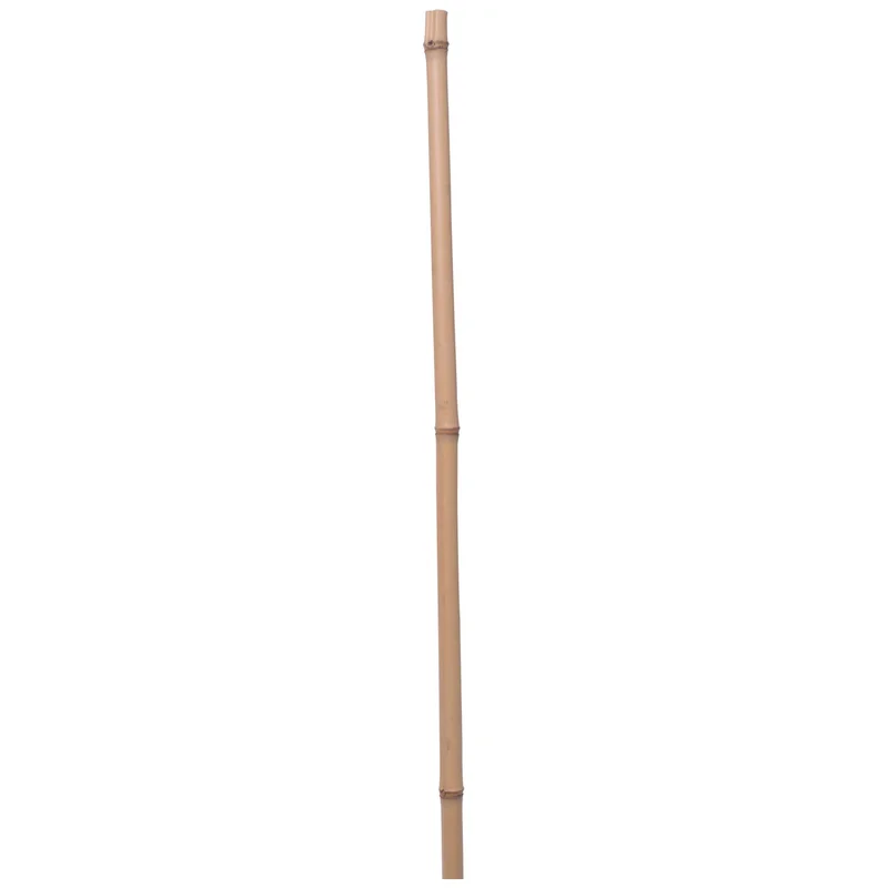 obi2-1095451