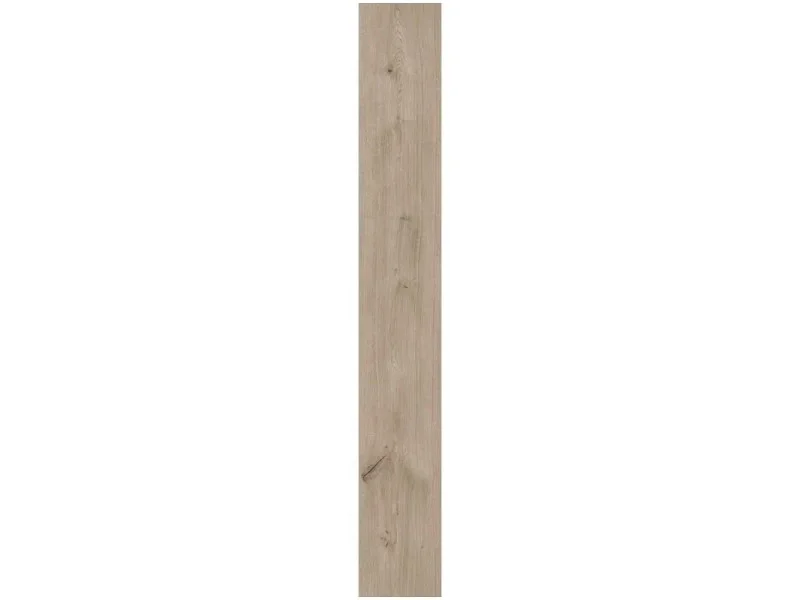 obi3-1055606