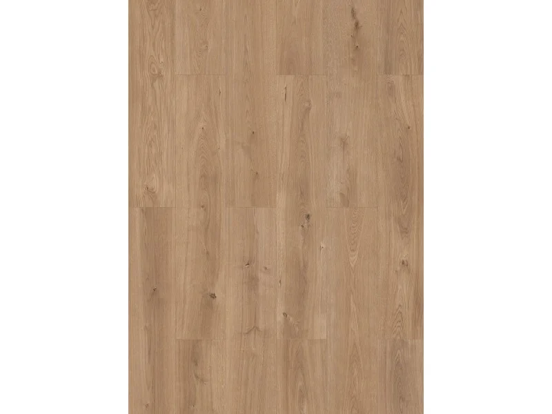 obi3-1123696