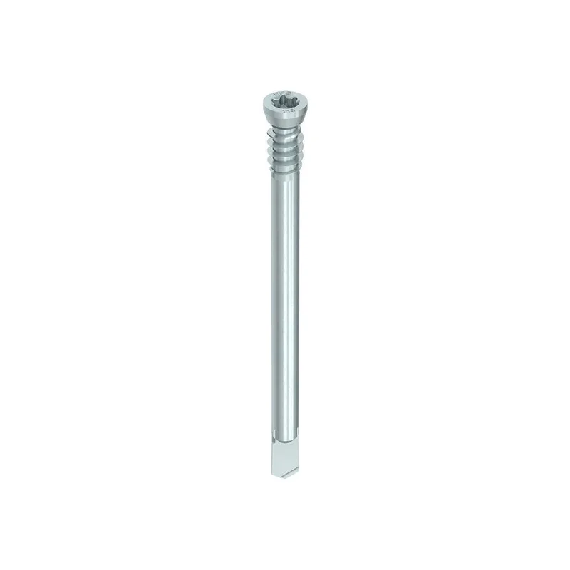 ramo-handels1-1280280