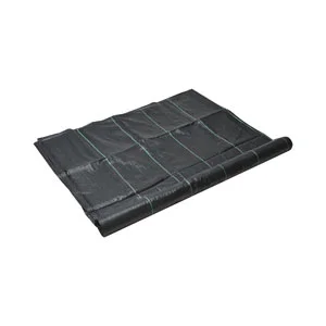 ramo-handels2-1311576